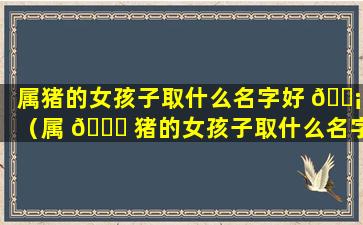 属猪的女孩子取什么名字好 🐡 （属 🕊 猪的女孩子取什么名字好一点）